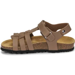 Citrouille et Compagnie - JANISOL