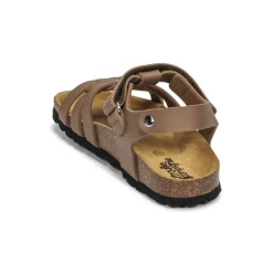 Citrouille et Compagnie - JANISOL