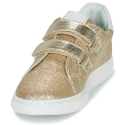 Citrouille et Compagnie - ASTINE