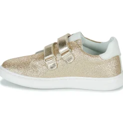 Citrouille et Compagnie - ASTINE