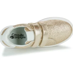 Citrouille et Compagnie - ASTINE