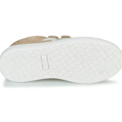 Citrouille et Compagnie - ASTINE