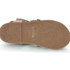 Citrouille et Compagnie - CIELETTE