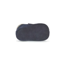 Citrouille et Compagnie - FASICA Marine Outlet