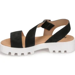 Clearance Citrouille et Compagnie - PIPOTI Noir