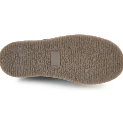 Citrouille et Compagnie - HOVETTE Marine