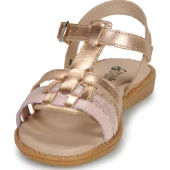 Citrouille et Compagnie - ROLUI Vieuxrose Hot