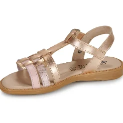 Citrouille et Compagnie - ROLUI Vieuxrose Hot