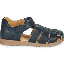 Citrouille et Compagnie - FRINOUI