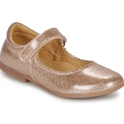 Best Citrouille et Compagnie - LOCOLA Doré