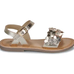 Citrouille et Compagnie - FLEURS Gold