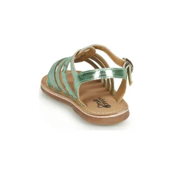 Citrouille et Compagnie - MAYANA