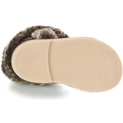 Citrouille et Compagnie - HOSY