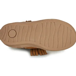 Online Citrouille et Compagnie - PIDO Camel