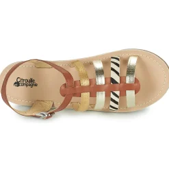 Citrouille et Compagnie - MAYANA