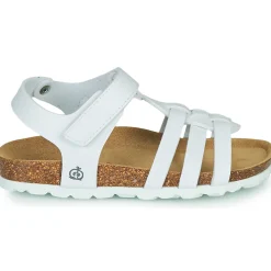 Discount Citrouille et Compagnie - JANISOL Blanc