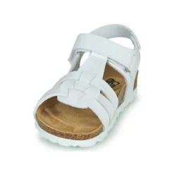 Discount Citrouille et Compagnie - JANISOL Blanc