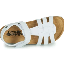 Discount Citrouille et Compagnie - JANISOL Blanc