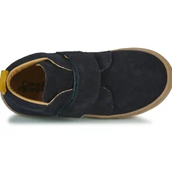 Citrouille et Compagnie - FOJAMO Marine New