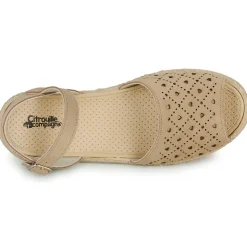 Citrouille et Compagnie - DEMINO