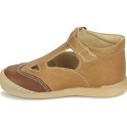 Citrouille et Compagnie - IARTIALAN