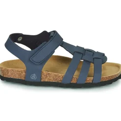 Best Citrouille et Compagnie - JANISOL Bleu