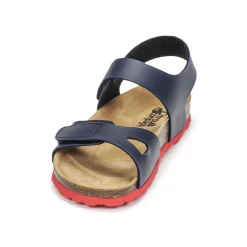 Citrouille et Compagnie - BELLI JOE