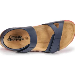 Citrouille et Compagnie - BELLI JOE