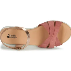 Clearance Citrouille et Compagnie - OBILOU Rose