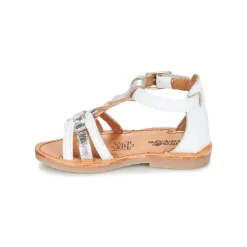 Citrouille et Compagnie - GITANOLO