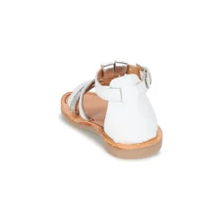 Citrouille et Compagnie - GITANOLO