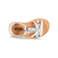 Citrouille et Compagnie - GITANOLO