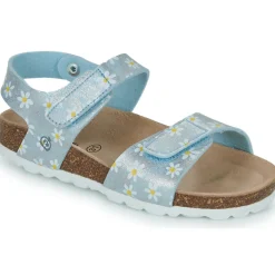 Clearance Citrouille et Compagnie - SUPERDAY Imprimépaquerette