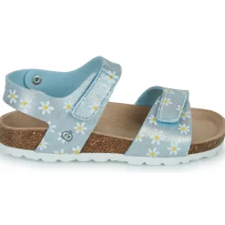 Clearance Citrouille et Compagnie - SUPERDAY Imprimépaquerette