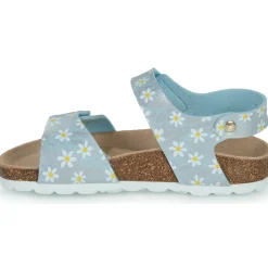 Clearance Citrouille et Compagnie - SUPERDAY Imprimépaquerette