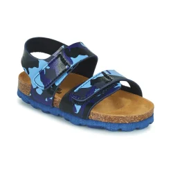 Citrouille et Compagnie - BELLI JOE