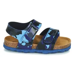 Citrouille et Compagnie - BELLI JOE