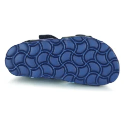 Citrouille et Compagnie - BELLI JOE