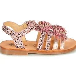 Citrouille et Compagnie - MARINAS