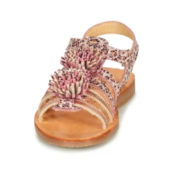 Citrouille et Compagnie - MARINAS