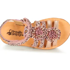 Citrouille et Compagnie - MARINAS