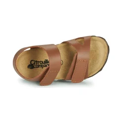 Citrouille et Compagnie - BELLI JOE Marron Discount