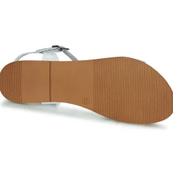 Citrouille et Compagnie - OBINOU Blancargent