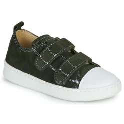 Citrouille et Compagnie - NADIR Kaki