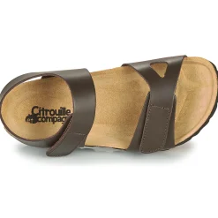 Citrouille et Compagnie - BELLI JOE Marron