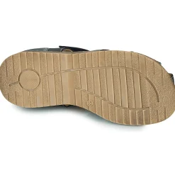 Best Citrouille et Compagnie - FRINOUI