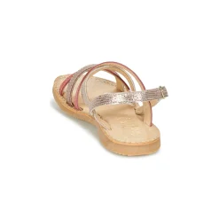 Citrouille et Compagnie - GENTOU Hot