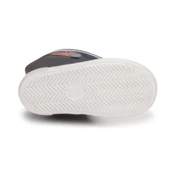 Discount Citrouille et Compagnie - PRADSI Marine