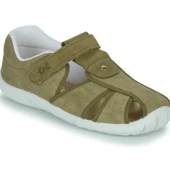 Citrouille et Compagnie - FIJOSAN Kaki Best