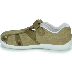 Citrouille et Compagnie - FIJOSAN Kaki Best